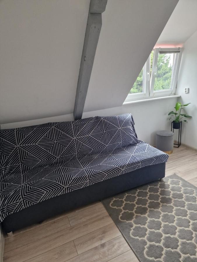 Dom Apartment *